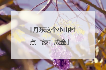 丹东这个小山村点“绿”成金