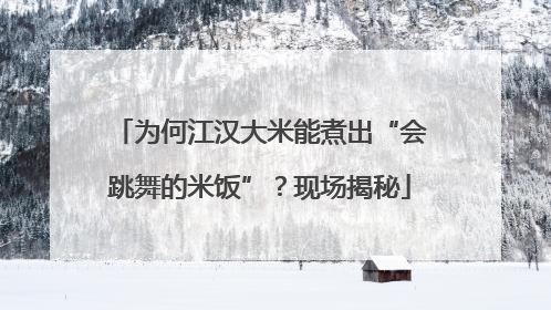 为何江汉大米能煮出“会跳舞的米饭”？现场揭秘