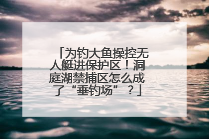 为钓大鱼操控无人艇进保护区！洞庭湖禁捕区怎么成了“垂钓场”？