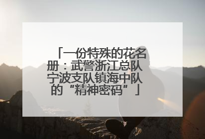 一份特殊的花名册：武警浙江总队宁波支队镇海中队的“精神密码”