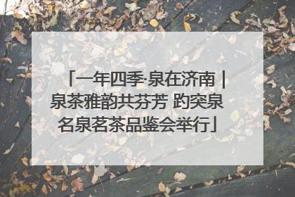 一年四季·泉在济南｜泉茶雅韵共芬芳 趵突泉名泉茗茶品鉴会举行