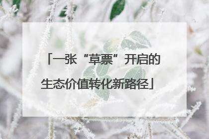 一张“草票”开启的生态价值转化新路径