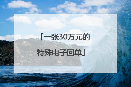 一张30万元的特殊电子回单