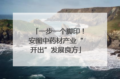 一步一个脚印！安图中药材产业“开出”发展良方