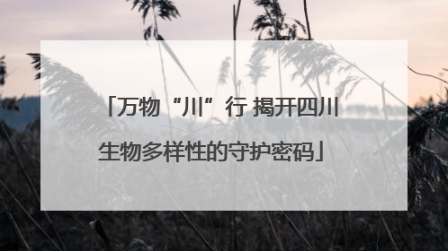 万物“川”行 揭开四川生物多样性的守护密码