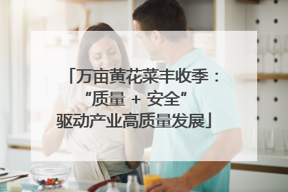 万亩黄花菜丰收季：“质量 + 安全” 驱动产业高质量发展