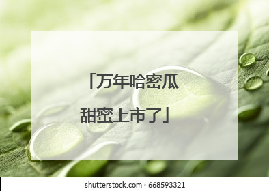 万年哈密瓜甜蜜上市了