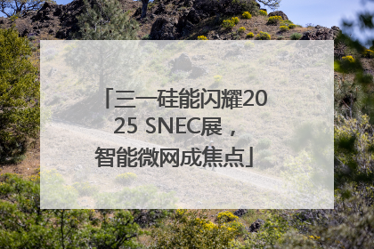 三一硅能闪耀2025 SNEC展，智能微网成焦点