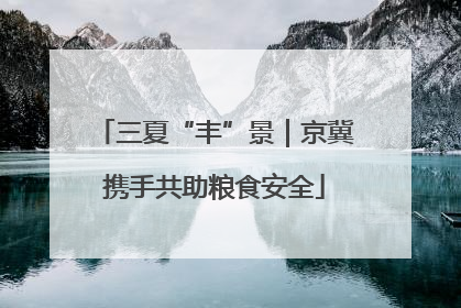 三夏“丰”景｜京冀携手共助粮食安全