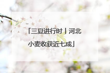 三夏进行时丨河北小麦收获近七成