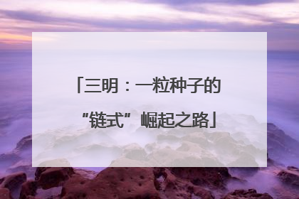 三明：一粒种子的“链式”崛起之路