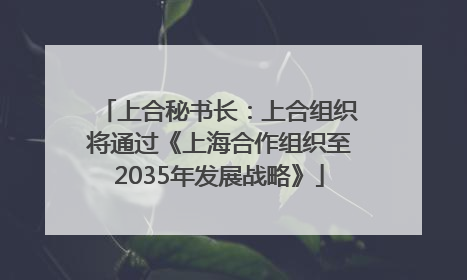 上合秘书长：上合组织将通过《上海合作组织至2035年发展战略》