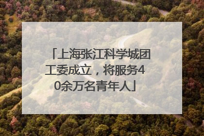 上海张江科学城团工委成立，将服务40余万名青年人