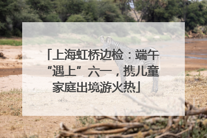 上海虹桥边检：端午“遇上”六一，携儿童家庭出境游火热