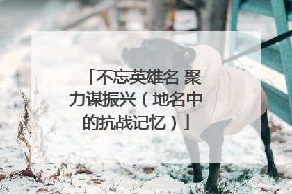 不忘英雄名 聚力谋振兴（地名中的抗战记忆）