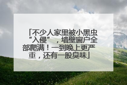 不少人家里被小黑虫“入侵”，墙壁窗户全部爬满！一到晚上更严重，还有一股臭味