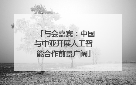 与会嘉宾：中国与中亚开展人工智能合作前景广阔