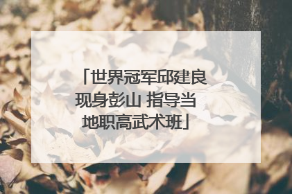 世界冠军邱建良现身彭山 指导当地职高武术班