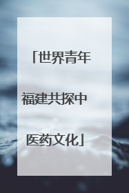 世界青年福建共探中医药文化