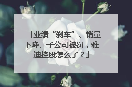业绩“刹车”、销量下降、子公司被罚，雅迪控股怎么了？