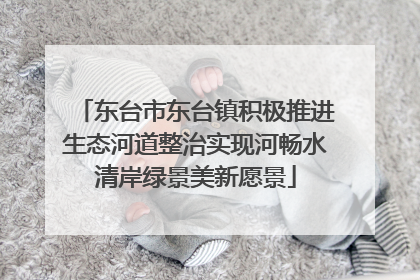 东台市东台镇积极推进生态河道整治实现河畅水清岸绿景美新愿景