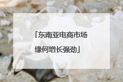 东南亚电商市场缘何增长强劲