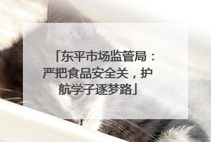 东平市场监管局：严把食品安全关，护航学子逐梦路