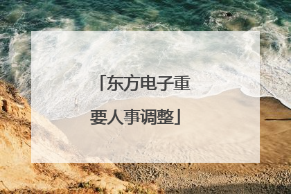 东方电子重要人事调整