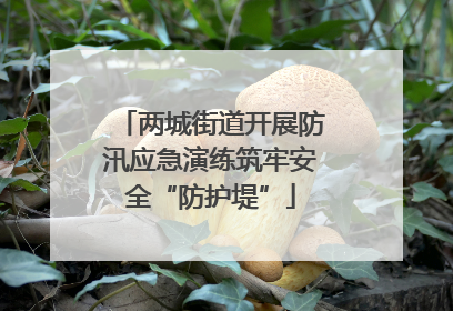 两城街道开展防汛应急演练筑牢安全“防护堤”