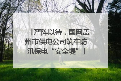 严阵以待，国网孟州市供电公司筑牢防汛保电“安全堤”