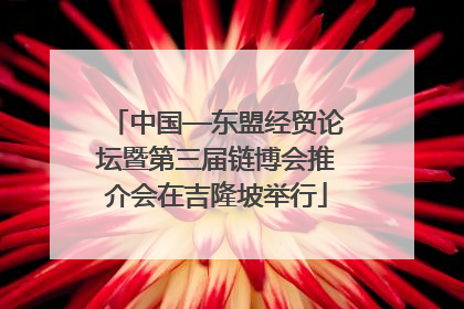 中国—东盟经贸论坛暨第三届链博会推介会在吉隆坡举行
