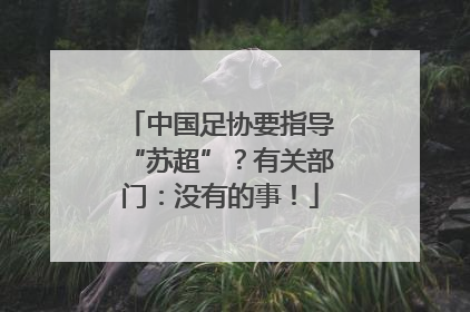 中国足协要指导“苏超”？有关部门：没有的事！