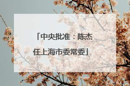 中央批准：陈杰任上海市委常委