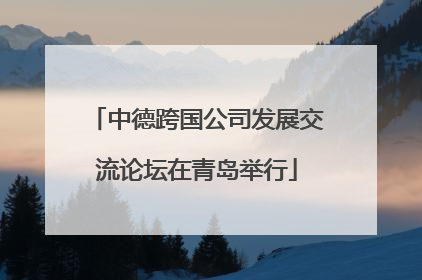 中德跨国公司发展交流论坛在青岛举行