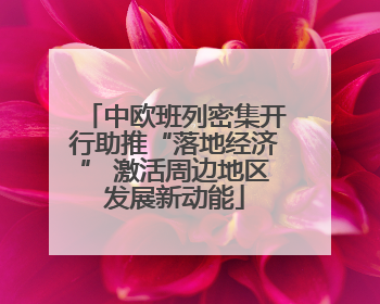 中欧班列密集开行助推“落地经济” 激活周边地区发展新动能