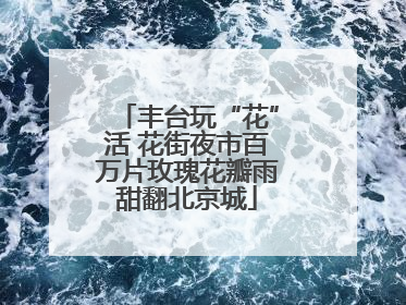 丰台玩“花”活 花街夜市百万片玫瑰花瓣雨甜翻北京城
