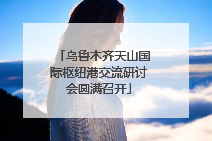 乌鲁木齐天山国际枢纽港交流研讨会圆满召开