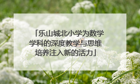 乐山城北小学为数学学科的深度教学与思维培养注入新的活力