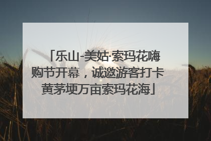 乐山-美姑·索玛花嗨购节开幕，诚邀游客打卡黄茅埂万亩索玛花海