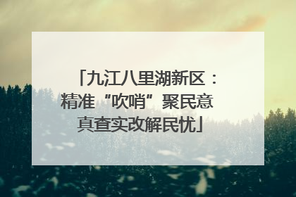 九江八里湖新区：精准“吹哨”聚民意 真查实改解民忧