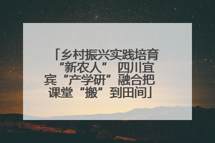 乡村振兴实践培育“新农人” 四川宜宾“产学研”融合把课堂“搬”到田间