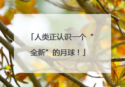 人类正认识一个“全新”的月球！