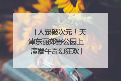 人宠破次元！天津东丽郊野公园上演端午奇幻狂欢