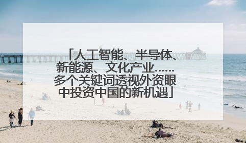 人工智能、半导体、新能源、文化产业……多个关键词透视外资眼中投资中国的新机遇