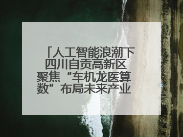 人工智能浪潮下 四川自贡高新区聚焦“车机龙医算数”布局未来产业丨美好生活有“盐”味