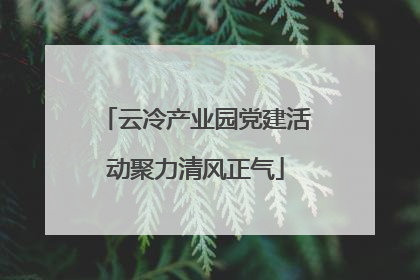 云冷产业园党建活动聚力清风正气