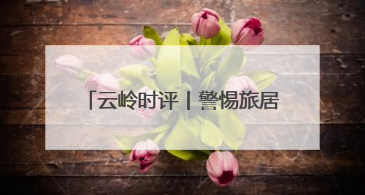 云岭时评丨警惕旅居同质化发展苗头④