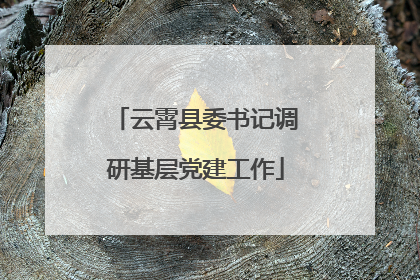 云霄县委书记调研基层党建工作