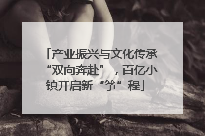 产业振兴与文化传承“双向奔赴”，百亿小镇开启新“筝”程