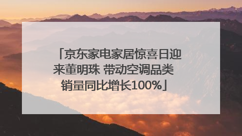 京东家电家居惊喜日迎来董明珠 带动空调品类销量同比增长100%